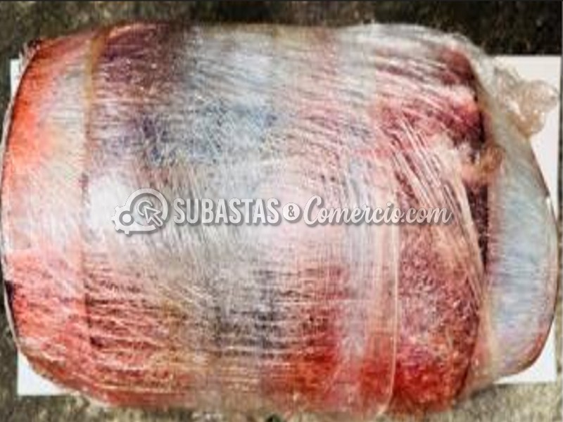 Captura de pantalla 2026-01-13 111649.jpg